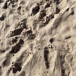 Meet your Posher, Issa